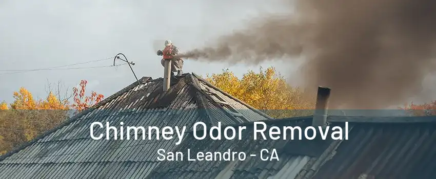 Chimney Odor Removal San Leandro - CA