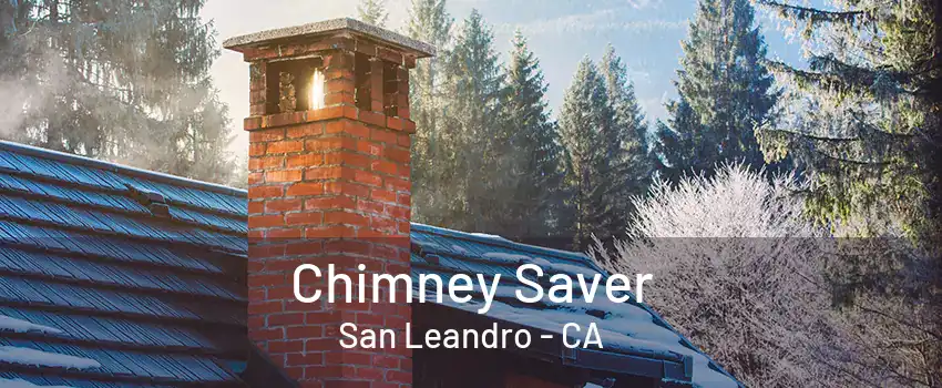 Chimney Saver San Leandro - CA