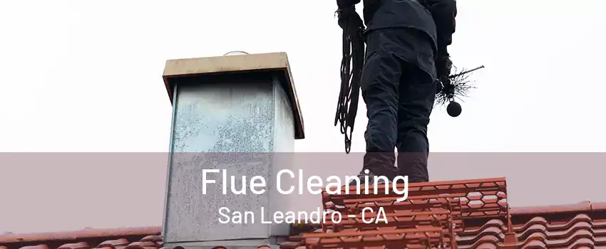 Flue Cleaning San Leandro - CA