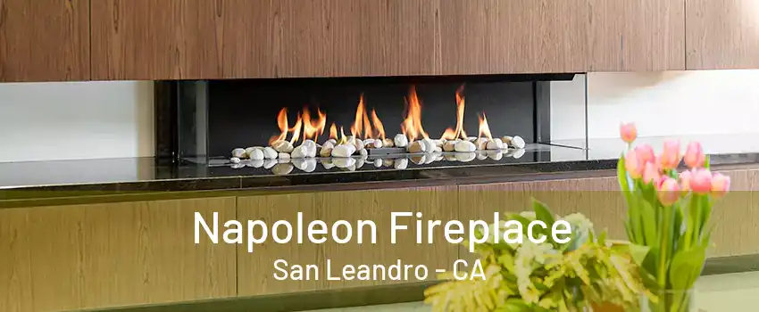 Napoleon Fireplace San Leandro - CA